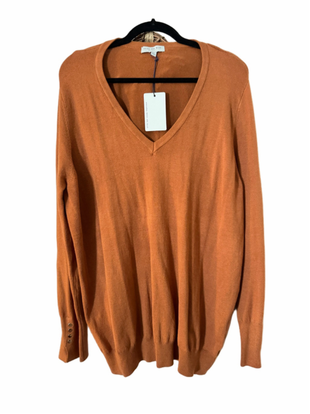 Women's Skies Are Blue V-Neck Sweater Rust Size 2X